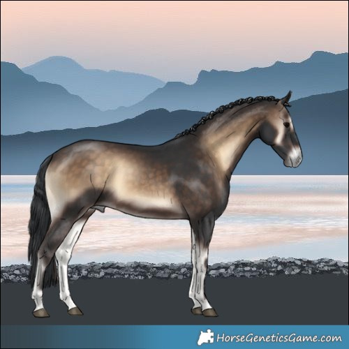 Horse Color:Brown Onyx Rabicano 