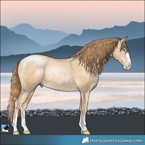 Horse Color:Buckskin Pearl Mushroom Splash