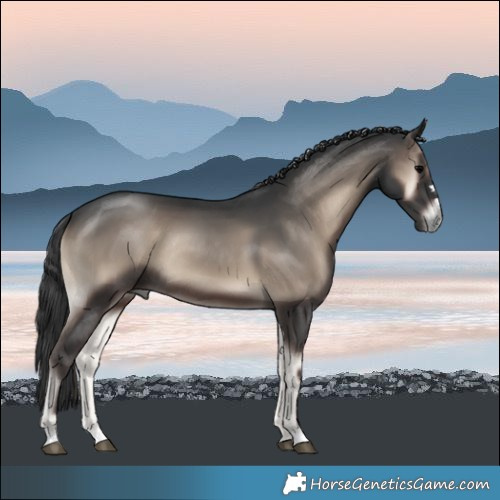 Horse Color:Blue Onyx Rabicano 