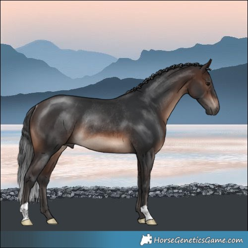 Horse Color:Brown Mushroom Rabicano