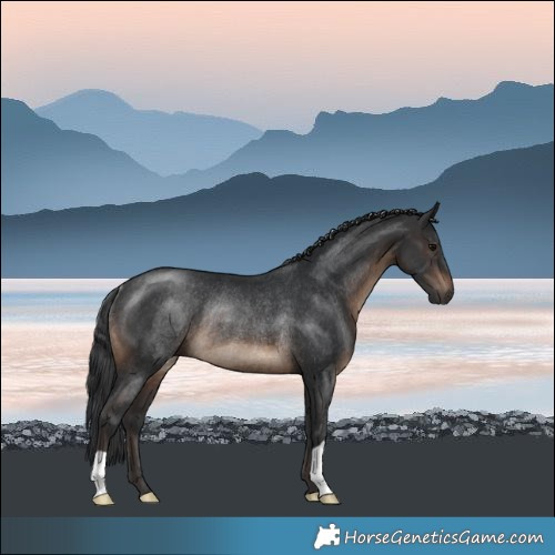 Horse Color:Brown Rabicano 