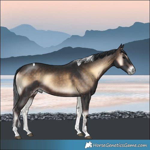 Horse Color:Brown Onyx Tobiano 