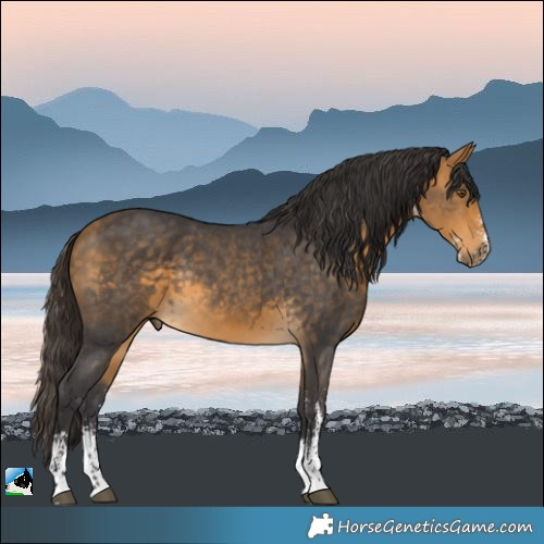 Horse Color:Buckskin Sabino Rabicano 