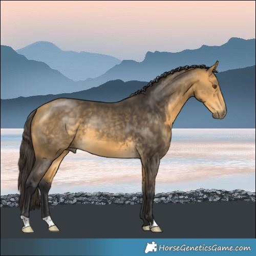 Horse Color:Buckskin Mushroom 