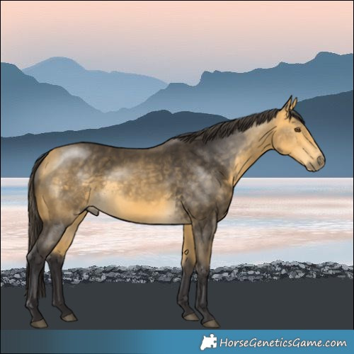 Horse Color:Buckskin Mushroom Rabicano