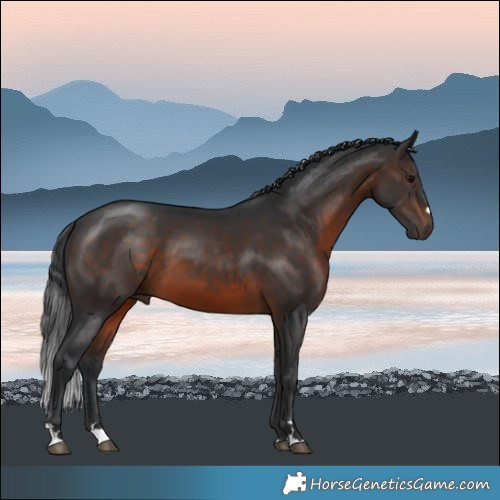 Horse Color:Brown 