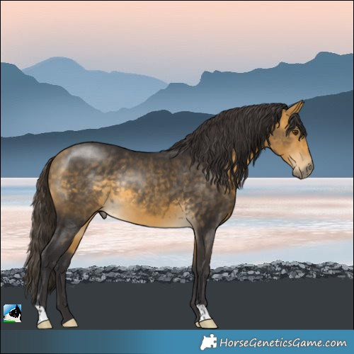 Horse Color:Buckskin Mushroom Rabicano 
