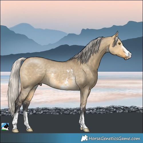 Horse Color:Silver Buckskin Dun Mushroom Sabino 