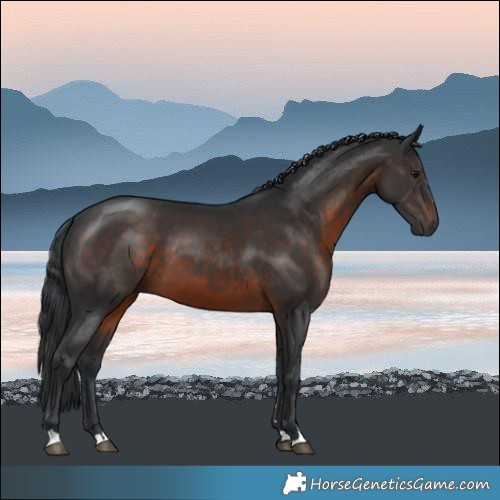 Horse Color:Brown Mushroom 