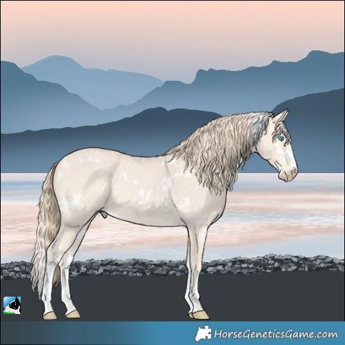 Horse Color:White Spotted Perlino Sabino Rabicano