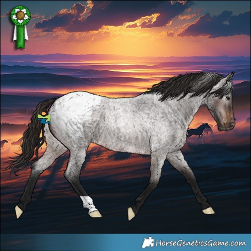 Horse Color:Gray Bay Roan Varnish 