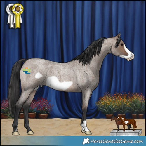 Horse Color:Brown Roan Dun Frame 