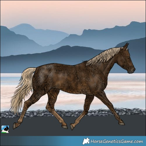 Horse Color:Chocolate Palomino Ice Mushroom Rabicano 