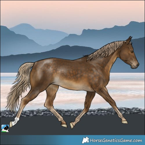 Horse Color:Chocolate Palomino Mushroom Rabicano 