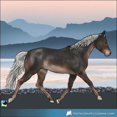 Horse Color:Liver Chestnut Mushroom Rabicano 