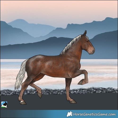 Horse Color:Liver Chestnut Mushroom Rabicano 