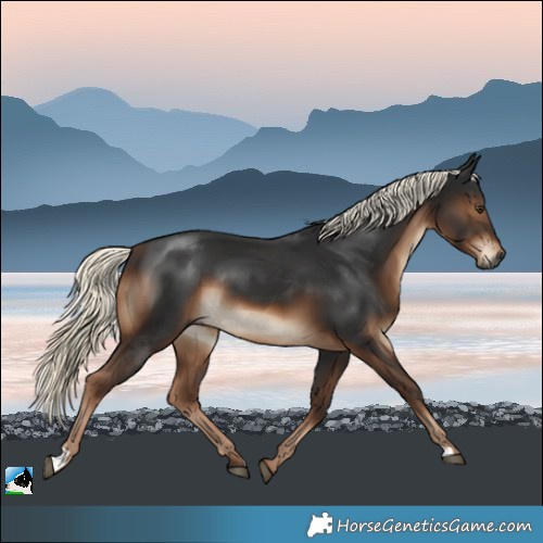 Horse Color:Gray Liver Chestnut Mushroom Rabicano 