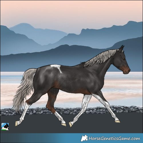 Horse Color:Liver Chestnut Mushroom Tobiano Rabicano