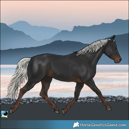 Horse Color:Liver Chestnut Mushroom Rabicano 