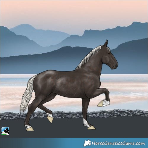 Horse Color:Liver Chestnut Mushroom Rabicano