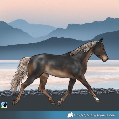 Horse Color:Gray Liver Chestnut Mushroom Rabicano 