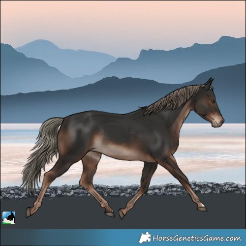 Horse Color:Liver Chestnut Mushroom Rabicano 