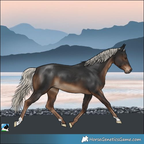 Horse Color:Gray Liver Chestnut Mushroom 