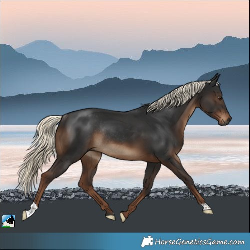 Horse Color:Gray Liver Chestnut Mushroom Rabicano 