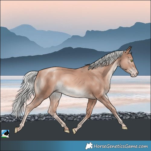 Horse Color:Gold Champagne Mushroom Rabicano