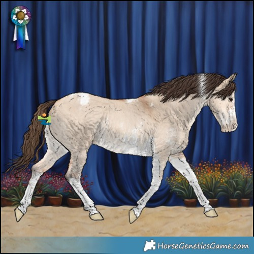 Horse Color:Bay Dun Sabino Tobiano Appaloosa Rabicano 