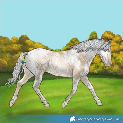 Horse Color:White Spotted Silver Buckskin Pearl Dun Rabicano