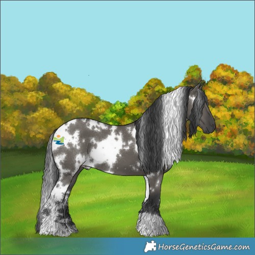 Horse Color:White Spotted Grullo 