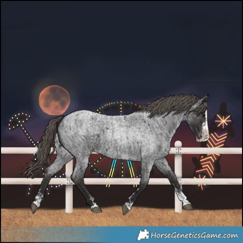 Horse Color:Smoky Blue Roan Sabino Splash Varnish  and Smoky Blue Roan Sabino Splash Varnish 