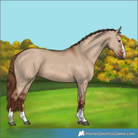 Horse Color:Red Dun