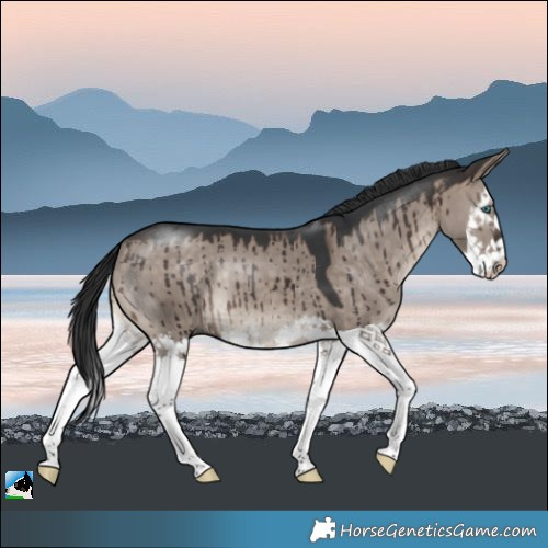 Horse Color:Brown Dun Mushroom Sabino Splash Rabicano Brindle 