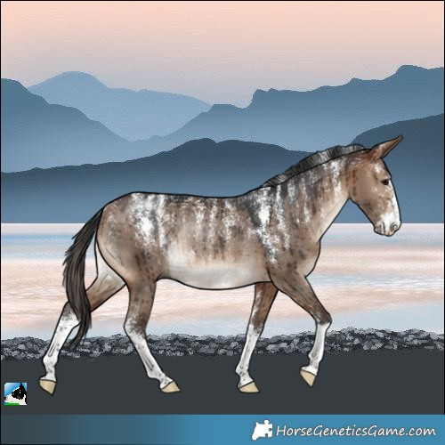 Horse Color:Powder White Brown Dun Rabicano Brindle 