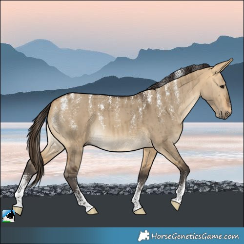 Horse Color:Powder White Buckskin Dun Brindle 