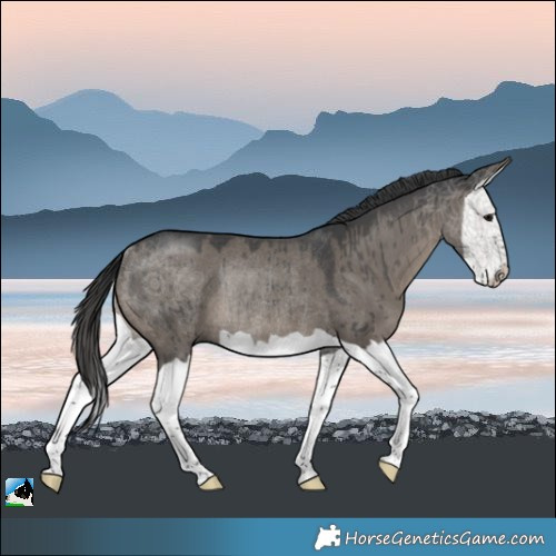 Horse Color:Grullo Mushroom Splash Rabicano Brindle