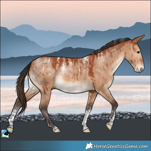 Horse Color:Powder White Bay Dun Rabicano Brindle