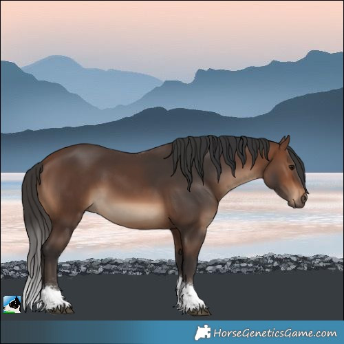 Horse Color:White Spotted Brown Tobiano 