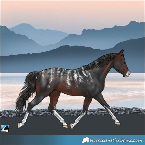 Horse Color:Powder White White Spotted Brown Rabicano 