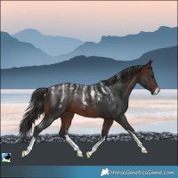 Horse Color:Powder White White Spotted Brown Rabicano