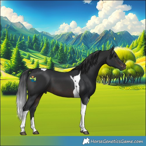 Horse Color:Brown Tobiano 