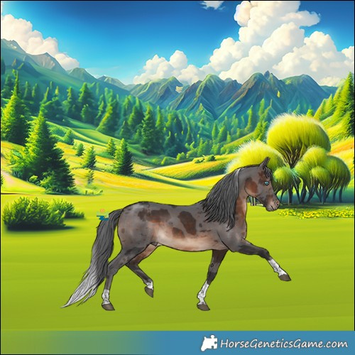 Horse Color:Brown Merle Tobiano 