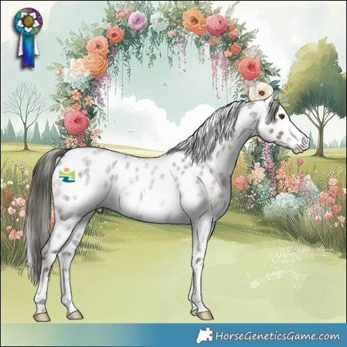 Horse Color:Liver Red Roan Mushroom Sabino Appaloosa Rabicano