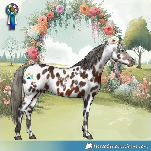 Horse Color:White Spotted Liver Chestnut Mushroom Appaloosa Rabicano