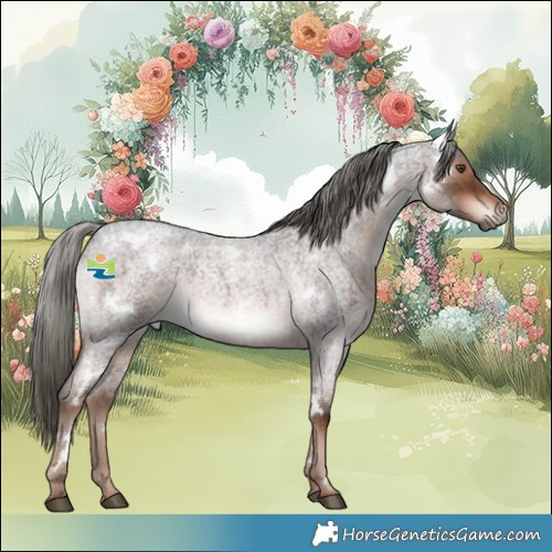 Horse Color:White Spotted Liver Red Roan Mushroom Rabicano