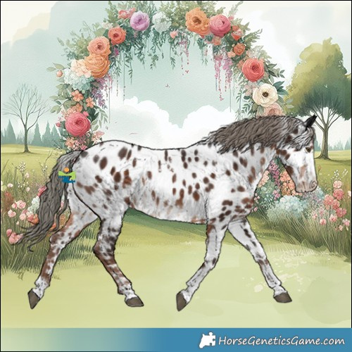Horse Color:White Spotted Liver Chestnut Mushroom Appaloosa Rabicano 