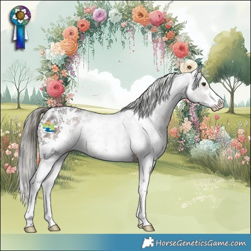 Horse Color:Liver Chestnut Mushroom Sabino Rabicano 
