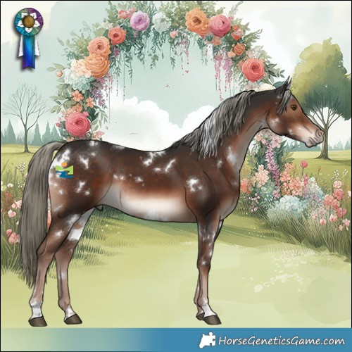 Horse Color:White Spotted Liver Chestnut Mushroom Rabicano 